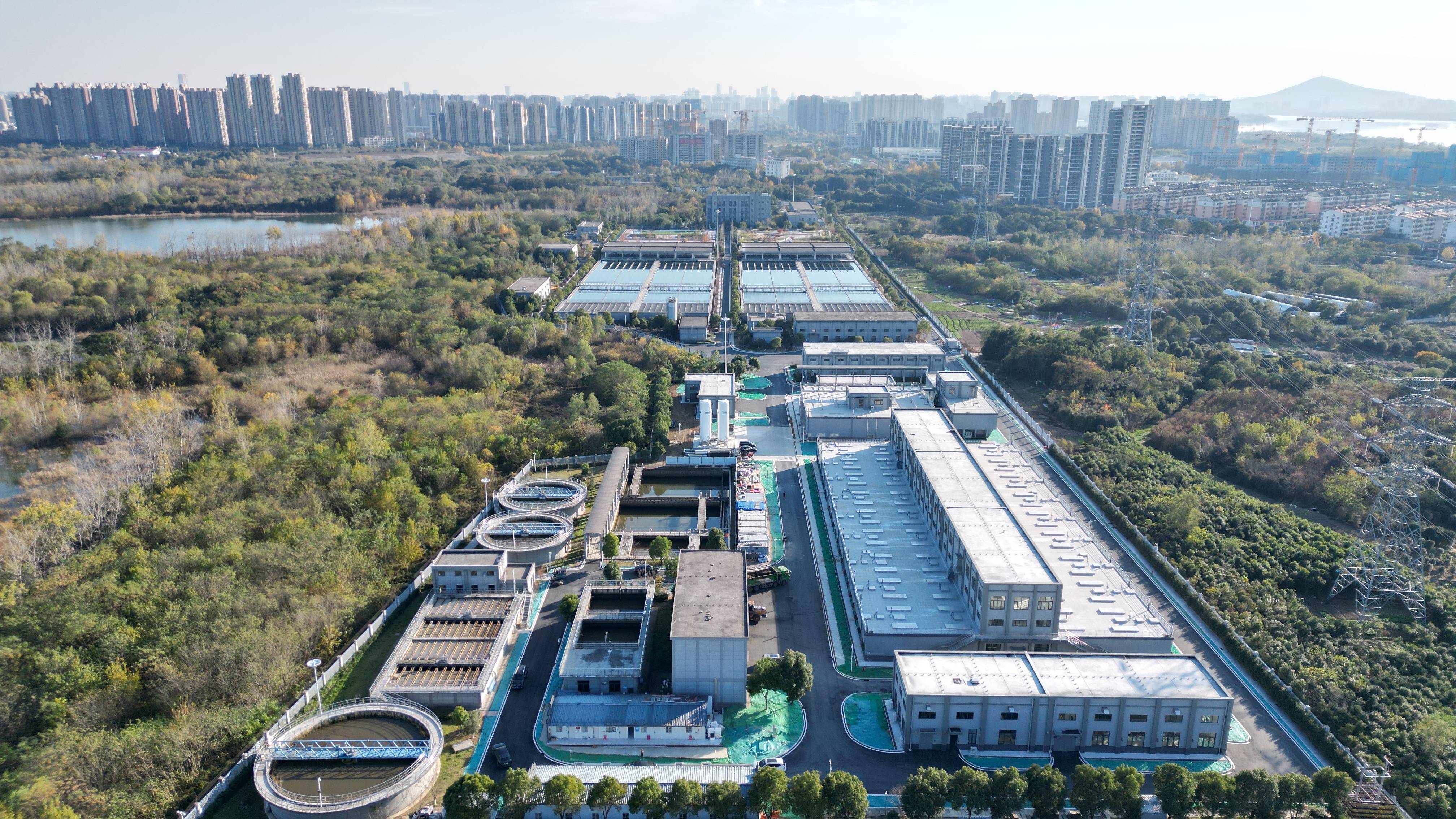 泸州市合肥专业企业价值增长(合肥市重点企业产业目录)