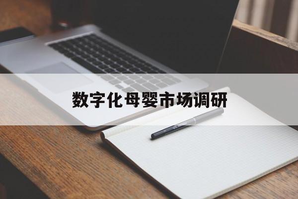 泸州市数字化母婴市场调研(数字化母婴市场调研报告)